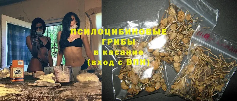 Галлюциногенные грибы Magic Shrooms  Краснозаводск 